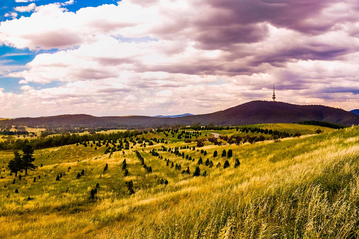 image upload c_limit,f_auto,w_1250 v1772417841 content-images regions mcdonald-jones-homes-region-canberra