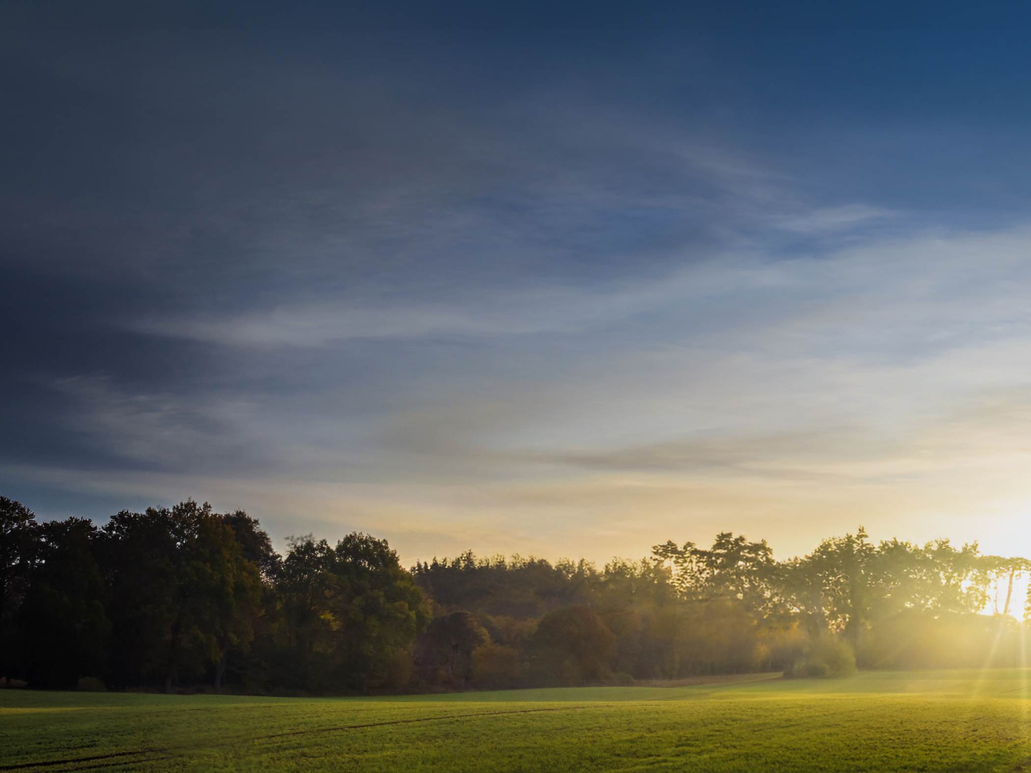 image upload c_limit,f_auto v1782879889 campaigns 2026-July-Ready-Set-Build ReadySetBuild-home-page-header-background-only-2100x1575