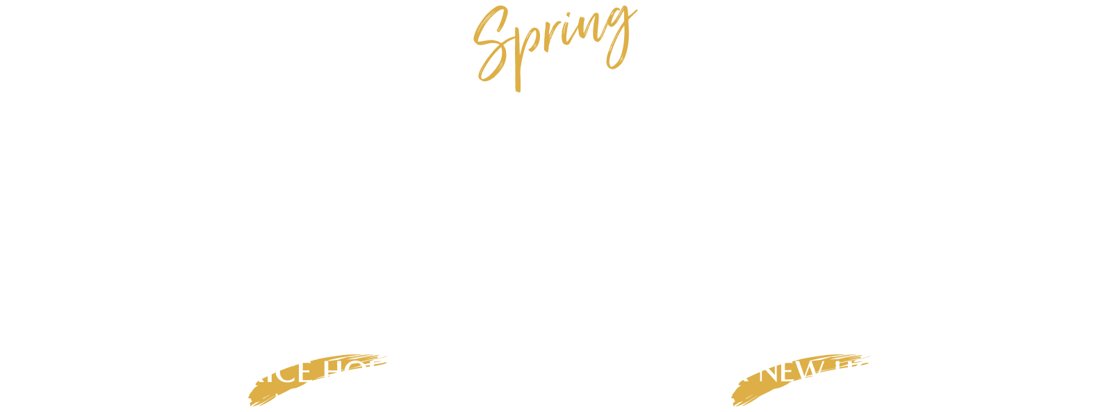 https://media.mcdonaldjoneshomes.com.au/image/upload/v1789611361/campaigns/2026-October-Spring-Saver/spring-saver-desktop-lockup-test.png